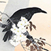 Hanko Kajita Gallery